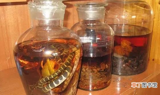 什么药酒可以补肾壮阳-五种有奇效的补肾壮阳药酒