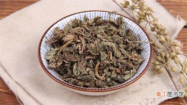 车前草有哪些作用-车前草的功效与作用