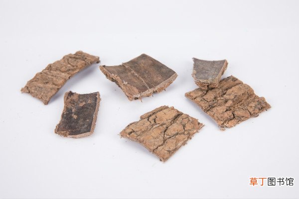 杜仲的功效是什么-杜仲的功效及用途作用