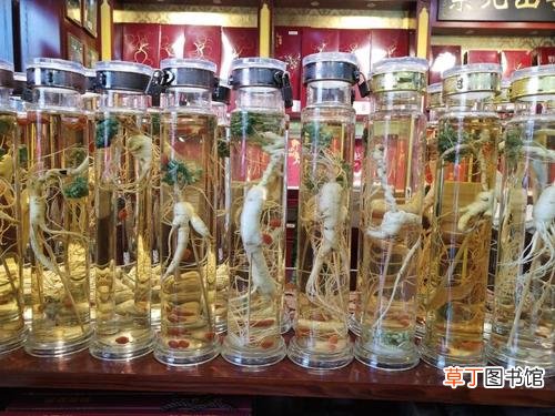 什么药酒可以补肾气虚-补肾气虚的药酒配方