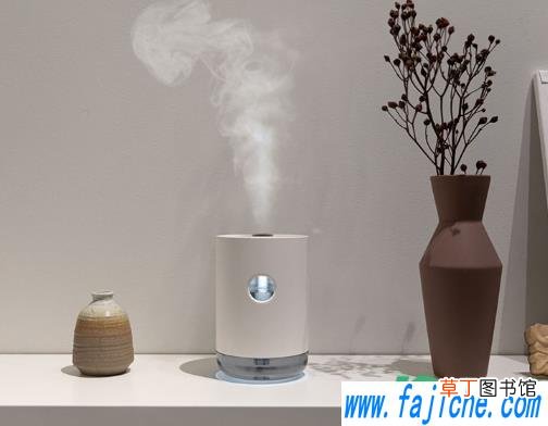 什么样的加湿器可以放精油 普通加湿器是不是不能加精油
