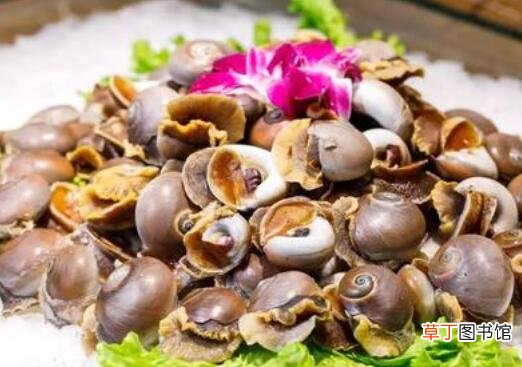 玉螺怎么吃好吃 玉螺的正确食用方法