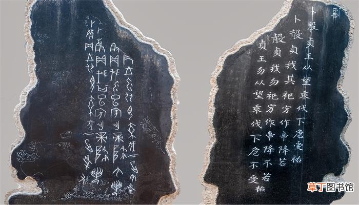 甲骨文属于哪一类文字