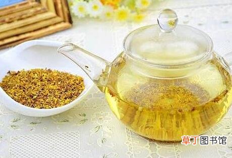 养生茶怎么喝才健康
