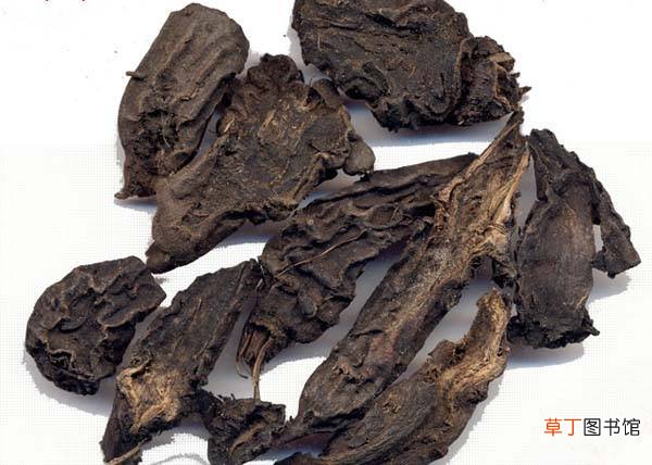 什么药酒能治骨关节炎-有效缓解关节痛的四类药酒