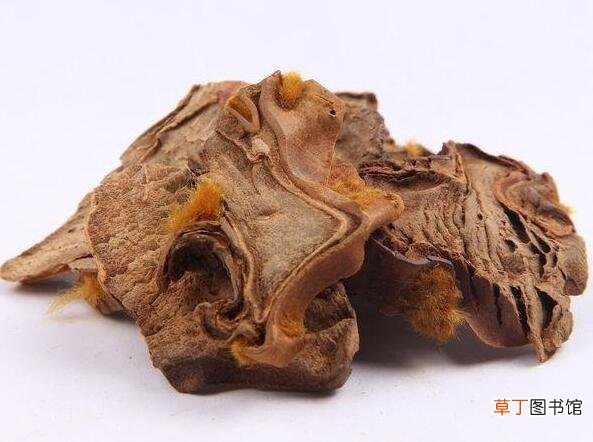 什么药酒可以治疗肩周炎-治疗肩周炎的药酒配方