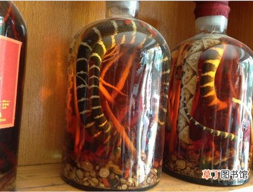 什么药酒可以治疗肩周炎-治疗肩周炎的药酒配方