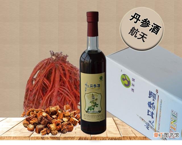 什么药酒可以提高免疫力-提高免疫力的三类中药材泡酒