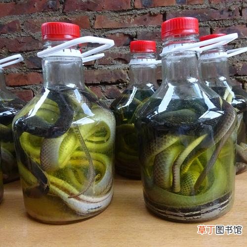 喝什么药酒能治痛风-五种治痛风的药酒配方