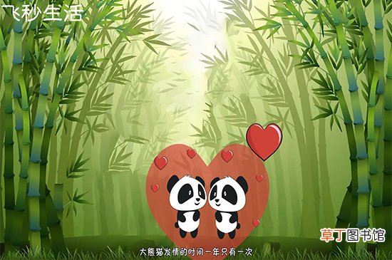 大熊猫为什么被视为中国的国宝