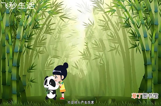 大熊猫为什么被视为中国的国宝
