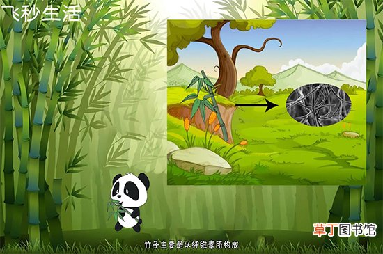 大熊猫为什么被视为中国的国宝