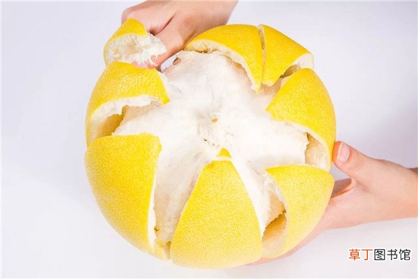 绵羊皮衣用什么油保养