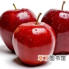 七种有效的懒人减肥法 轻轻松松减掉脂肪