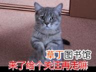 家猫为啥不建议打疫苗 小猫多久洗一次澡