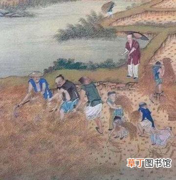 诗经生民原文及翻译 生民诗经全文注音版