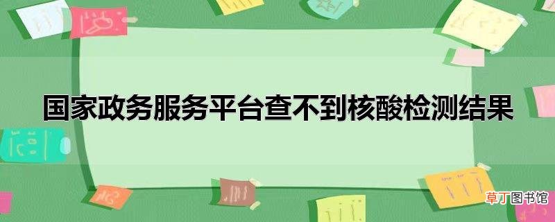 国家政务服务平台查不到核酸检测结果