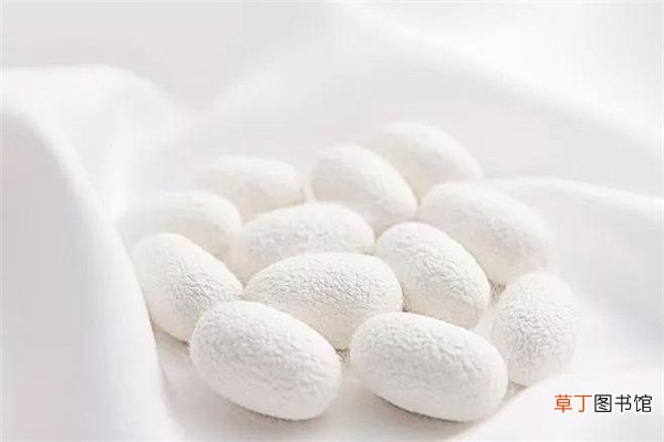 桑蚕丝衣服缩水怎么办
