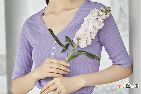 水云间女装是几线品牌