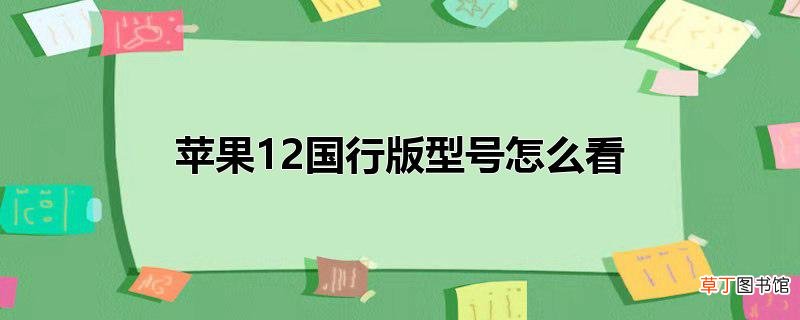 苹果12国行版型号怎么看