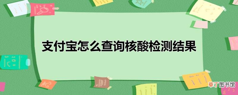 支付宝怎么查询核酸检测结果