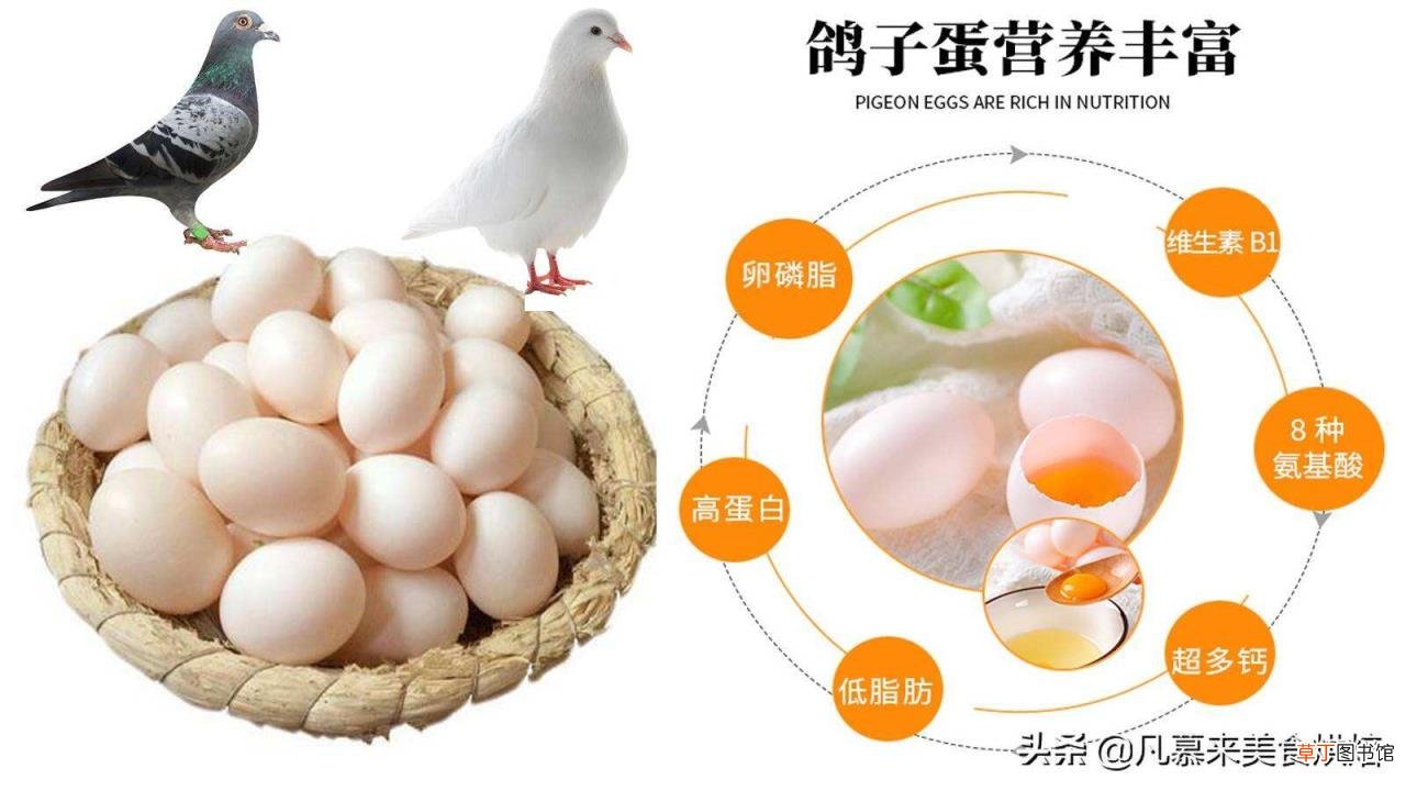 水煮鸽子蛋几分钟最好 鸽子蛋煮多久才能熟
