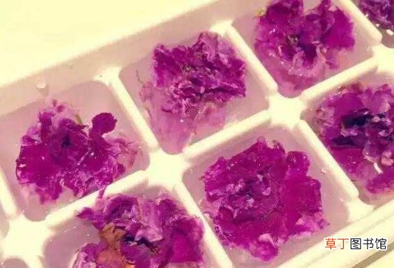 怎样自制新鲜玫瑰花水 玫瑰水的用法