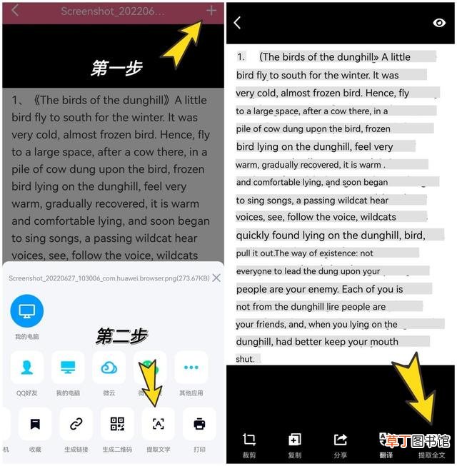 qq图片提取文字失败 qq图片提取文字