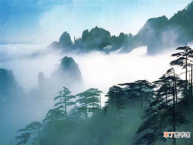 属龙交运当天忌讳什么?属龙交运不能见什么属相