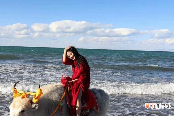青海8月份穿什么衣服