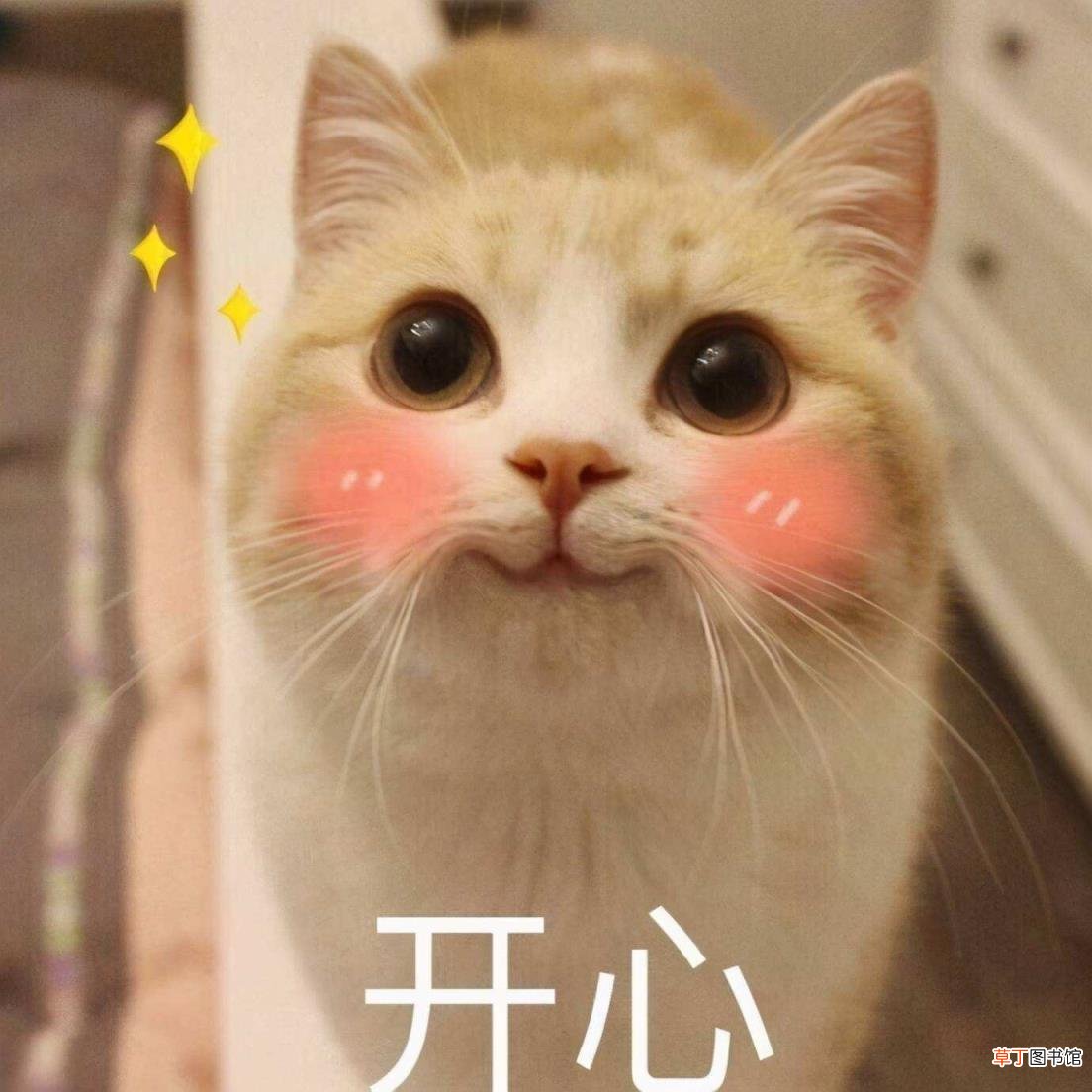 剑三重置身份证进度查询 剑三重置身份证要多久