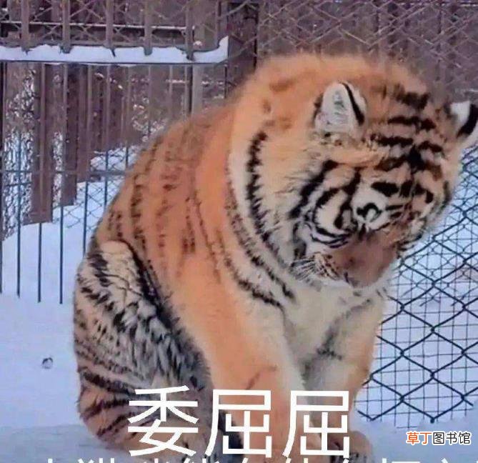 剑三重置身份证进度查询 剑三重置身份证要多久