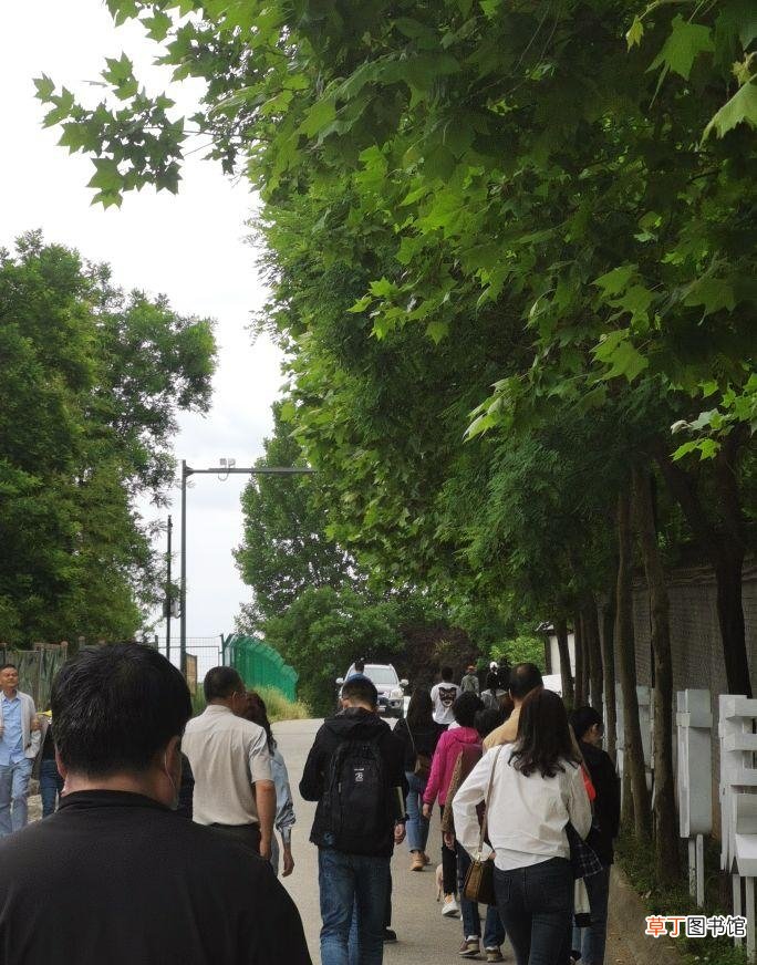 为什么年轻人会找对象 人为什么找对象