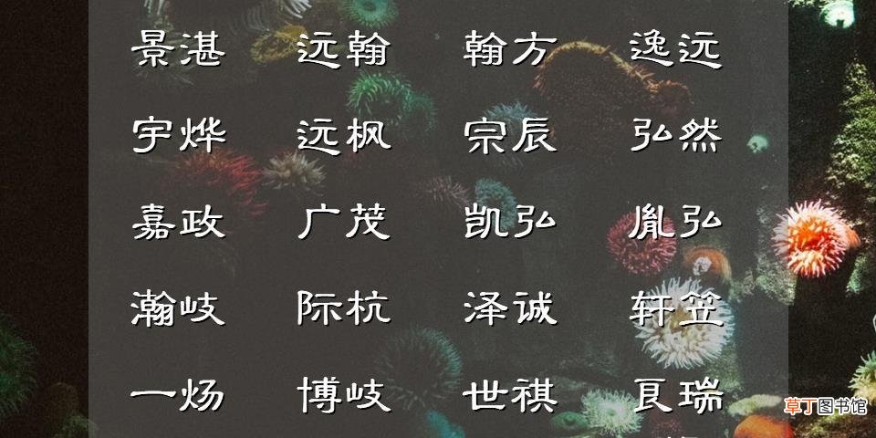 好听男孩阳光名字 注定是小福星的虎宝宝名字