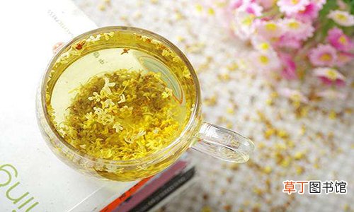 怎样饮茶最健康
