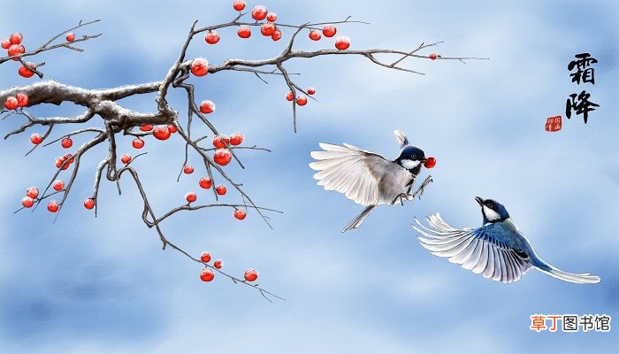 霜降节气的风俗