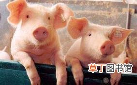 什么赚钱最快软件 目前生意好做又赚钱的方法