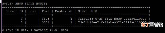 一主二从 Docker部署MySQL8集群的实现步骤
