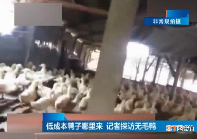 18元烤鸭是怎么回事 美味的背后让你不敢再开口