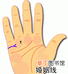 婚姻线是什么意思呢 什么是婚姻线呢