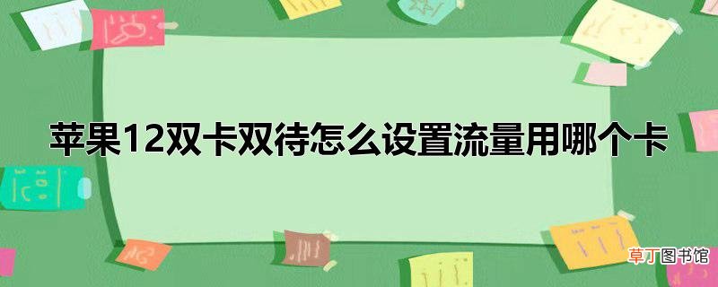 苹果12双卡双待怎么设置流量用哪个卡