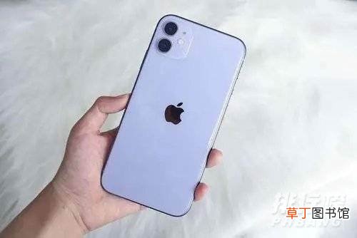 性价比最高的苹果手机?性价比最高的苹果手机排行榜