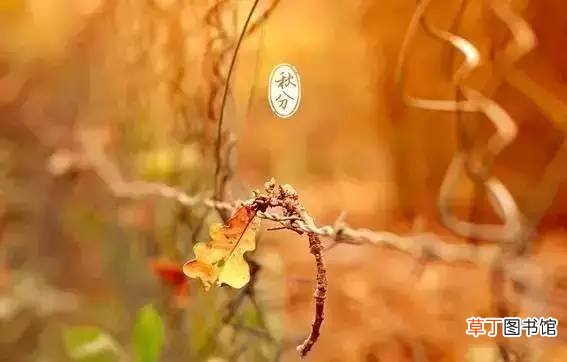 秋分后面的节气是什么?秋分是第几个节气