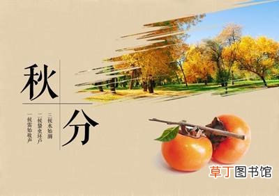 秋分后面的节气是什么?秋分是第几个节气