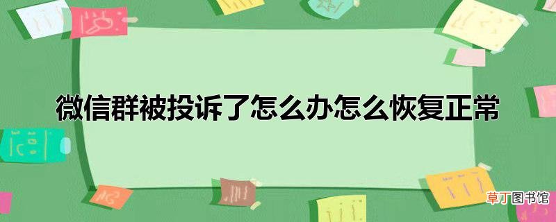 微信群被投诉了怎么办怎么恢复正常