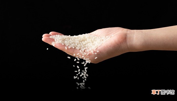 世界粮食日是几月几号
