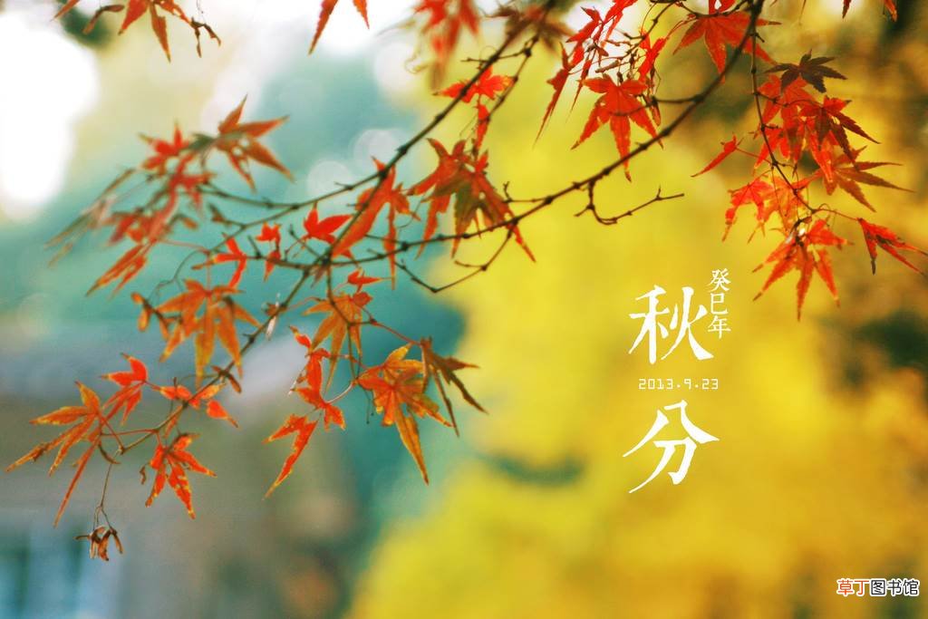 秋分有哪些风俗和相关文化?秋分有什么寓意