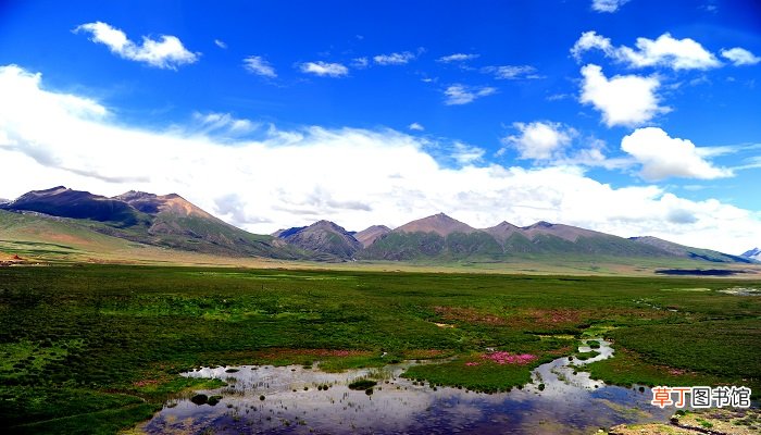 世界屋脊指的是什么地方
