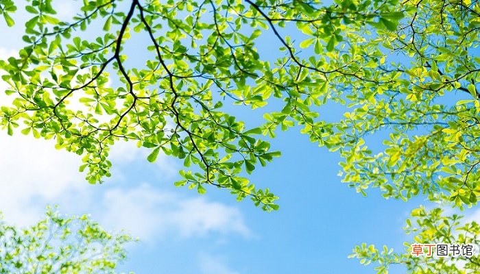 惊蛰是什么季节
