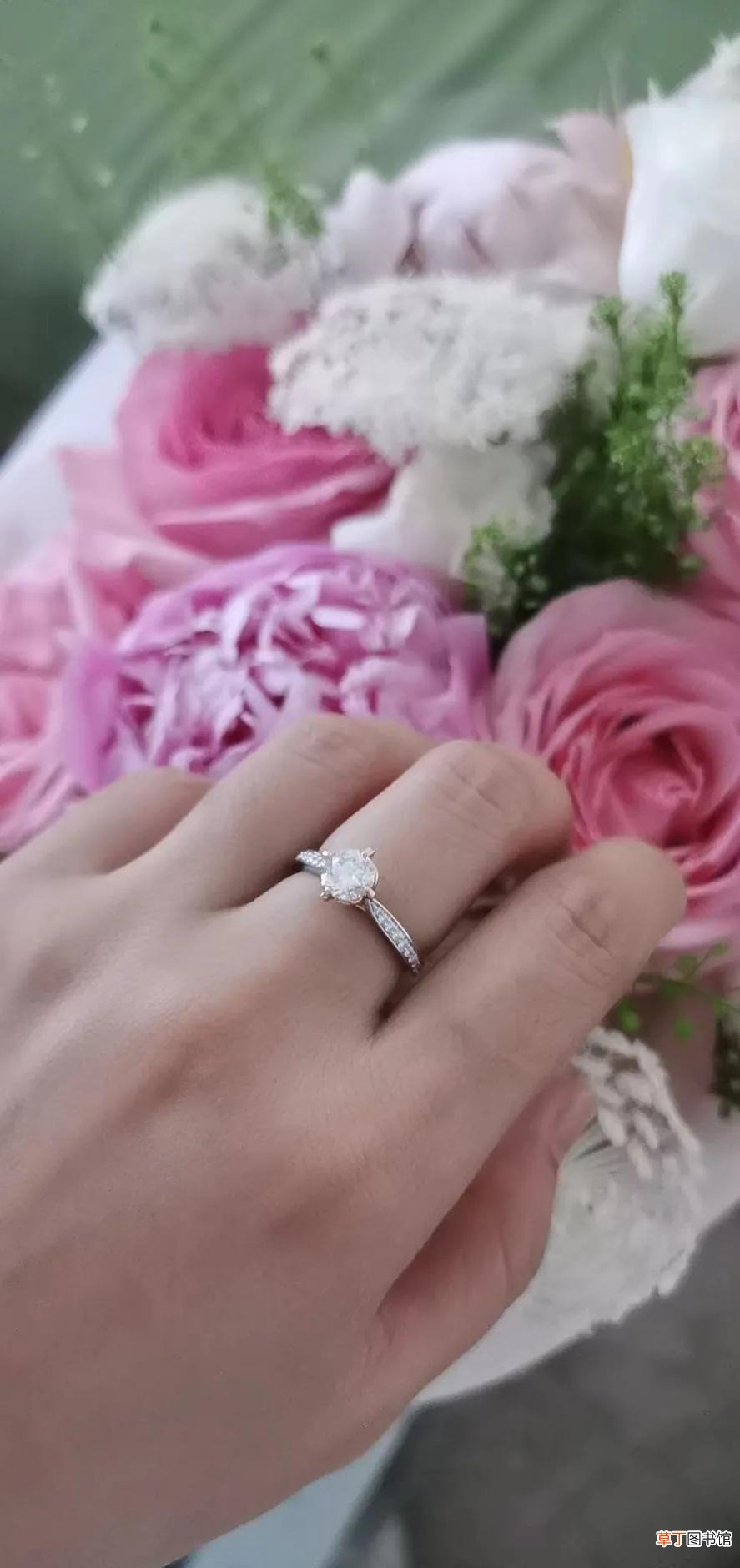 结婚纪念日应送什么花 结婚纪念日应该送什么花